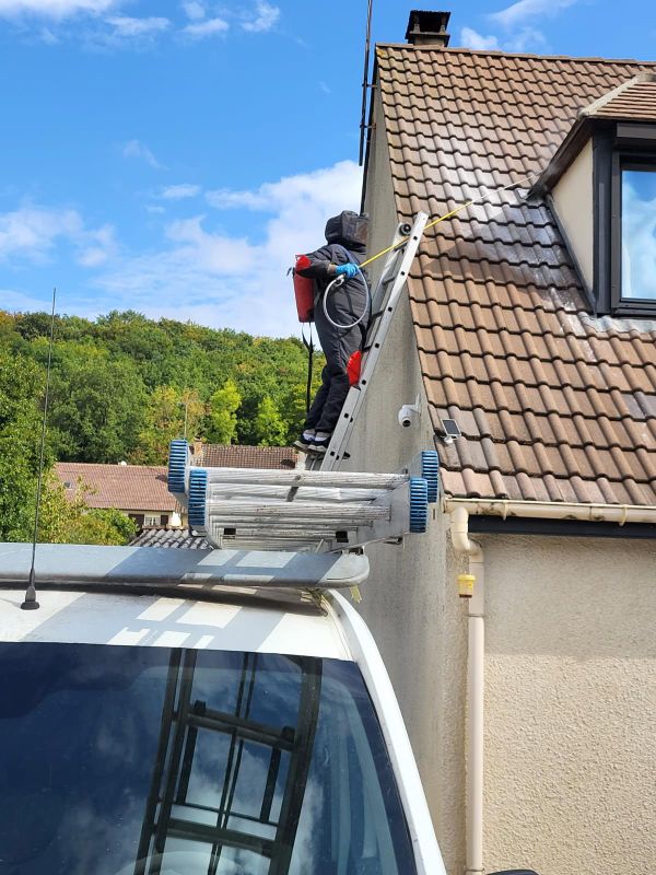 Intervention destruction de nid